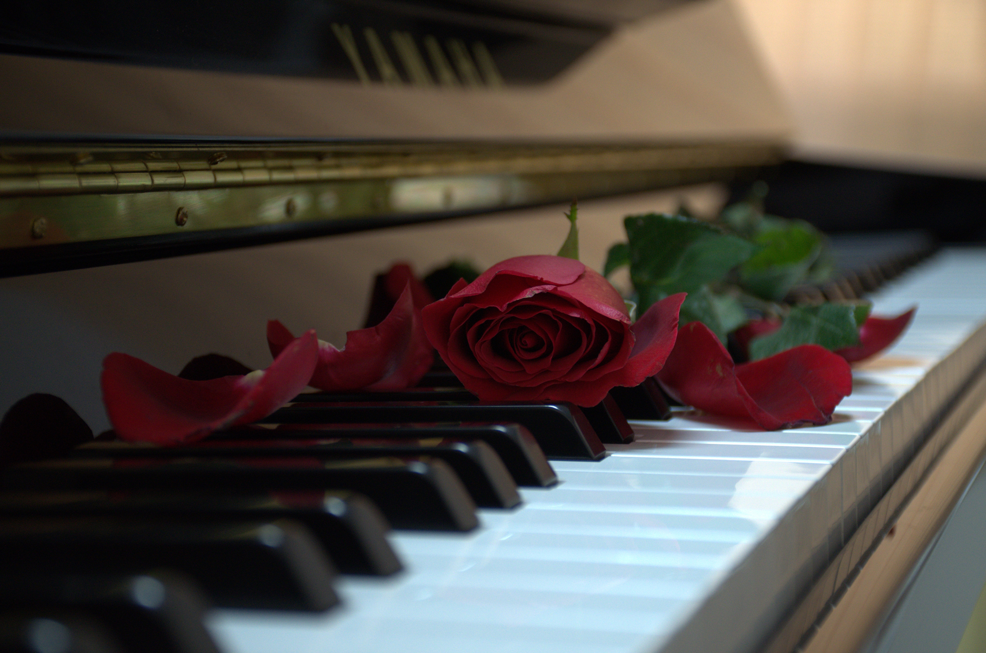 千葉ピアノ教室公式ホームページ